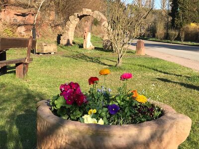 Frühlingsblumen am "Arme Sünder Brunnen" in Rodalben